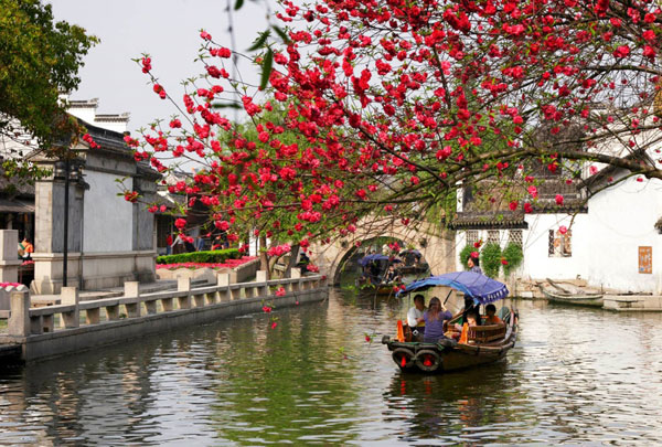 Travel in Spring like the Beautiful Chinese Poem