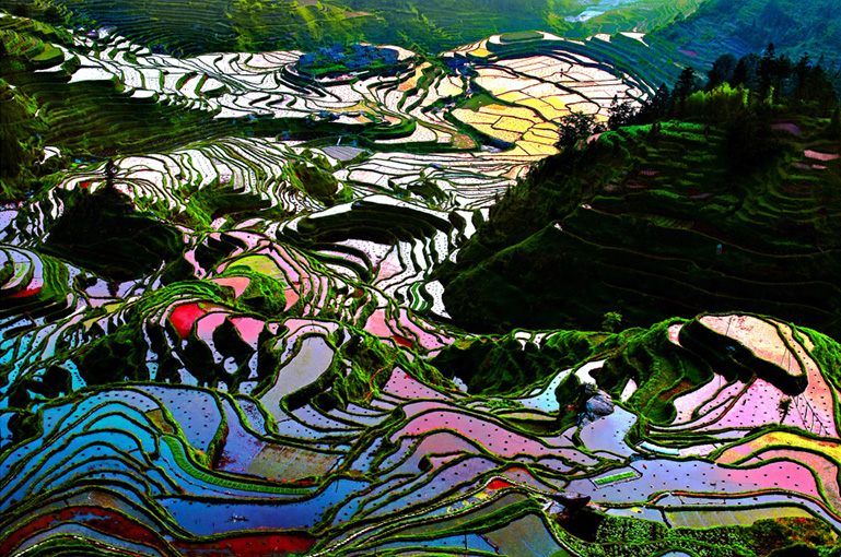China’s Spring Destination: Yuanyang Hani Rice Terraces