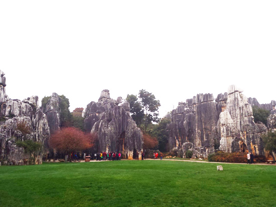 Stone Forest1