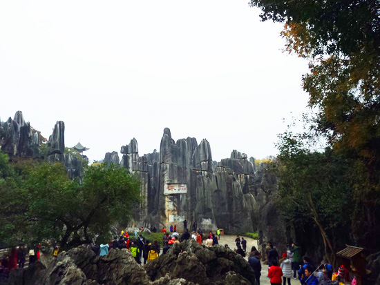 Stone Forest2