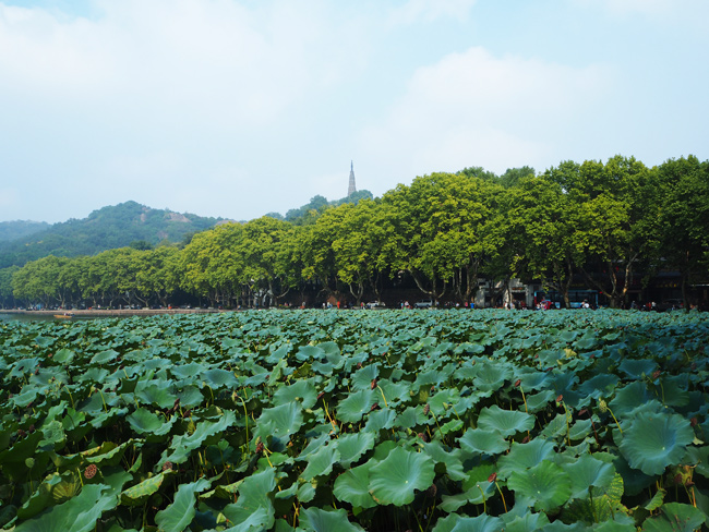 Hangzhou West Lake Autumn View 