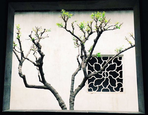 Changeful Windows in Suzhou Gardens