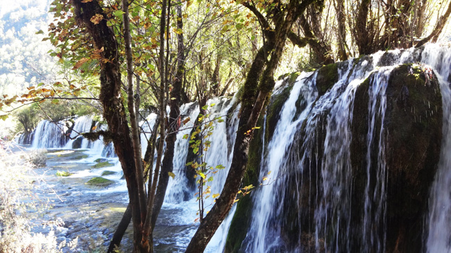 Jiuzhaigou Tour from Chengdu