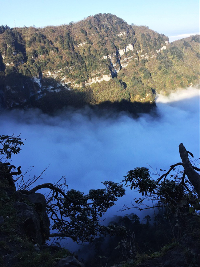 Gorgeous View with Clouds of Mount Emei