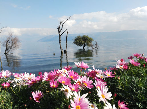 Beautiful Scenery along the Erhai Lake