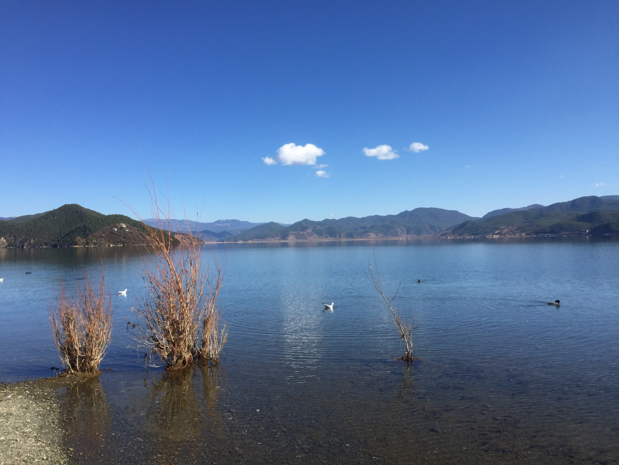 Tranquil Lugu Lake
